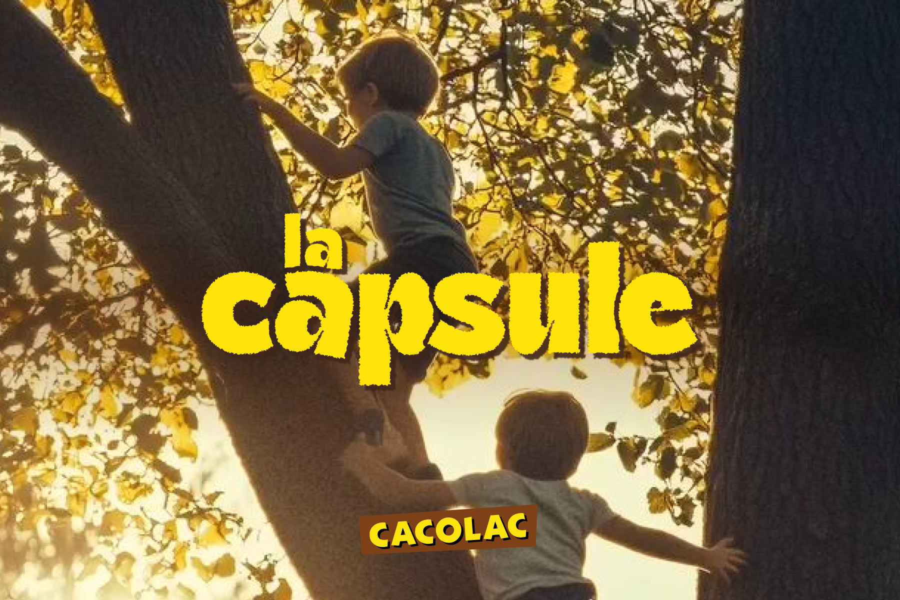 La Capsule - Branding & Social Media branding design graphic design illustration logo social media typography visual design