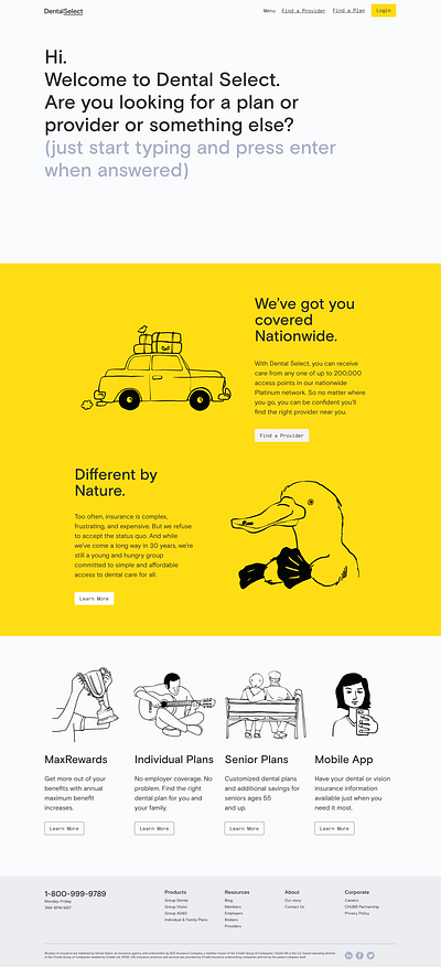 Dental Select Website branding ui web design