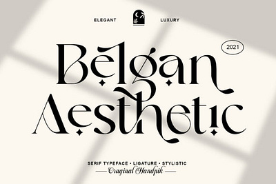 Belgan Aesthetic Font elegant font handpik serif winter