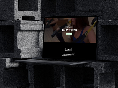 Welness Website