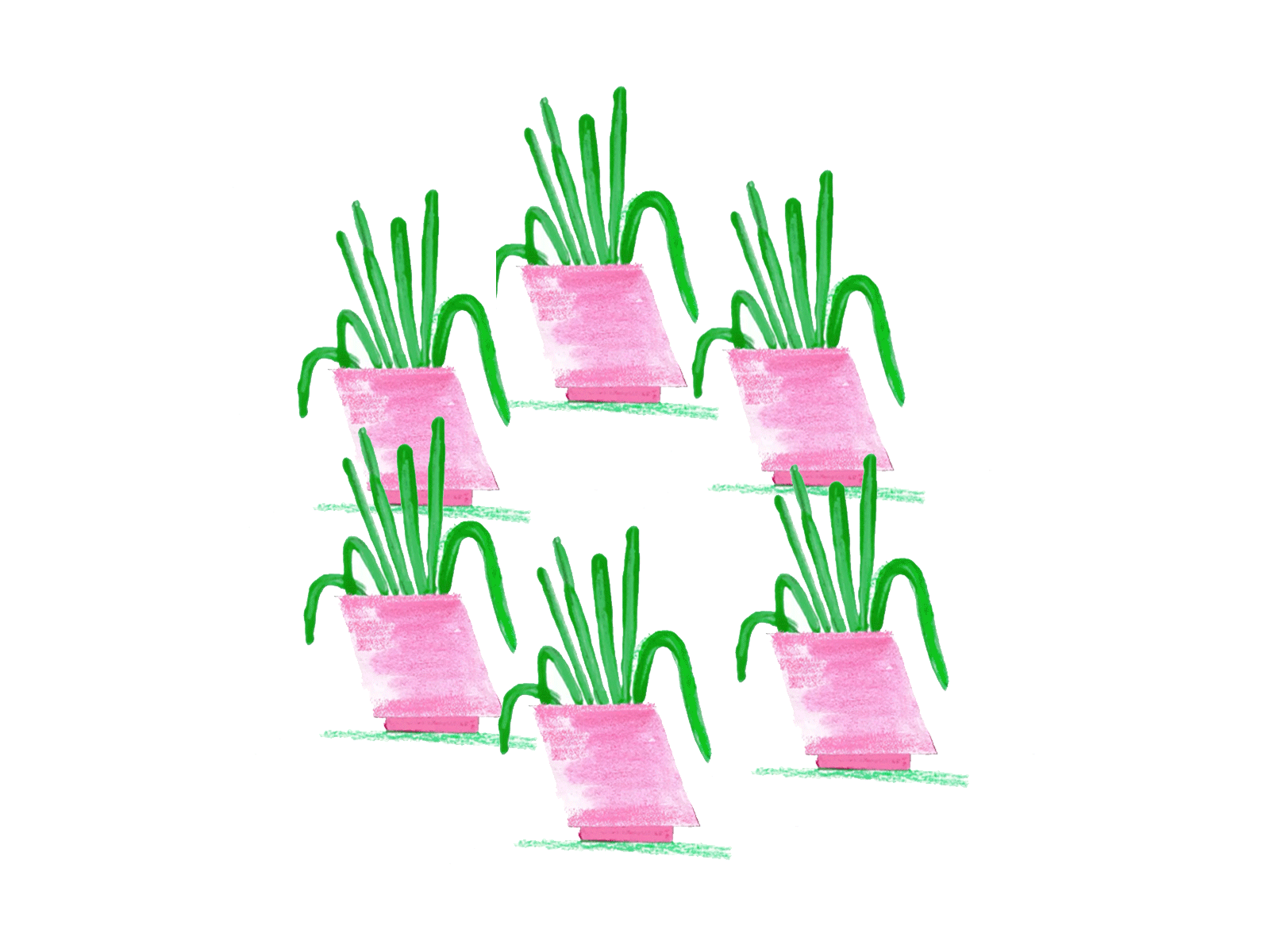 Plantitas animation design frame by frame frame to frame gif illustration loop plant rotation