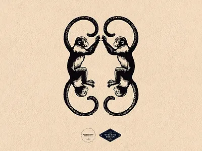 Chapter Monkey Illustration 2d animal bookstore branding curious design graphic design hand hand drawn happy illustration illustrator ink monkey monkeys mysterious procreate retro textural vintage