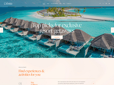 Cabana - Resort, Villa & Hotel WordPress Theme blog design illustration ui web design webdesign wordpress wordpress design wordpress theme wordpress themes