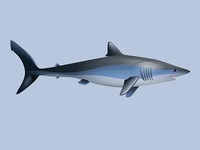 Mako Shark Logo creature art creature designer icon design logo design mako shark marine creatures shark icon shark illustration shark logo vector illustration