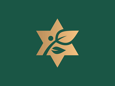 Star of David + Olive Branch - Logo Concept branding clean gold graphic design green icon jewish logo olive branch peace star of david