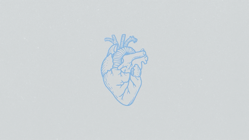 Heartbeat Animation animation motion graphics vector