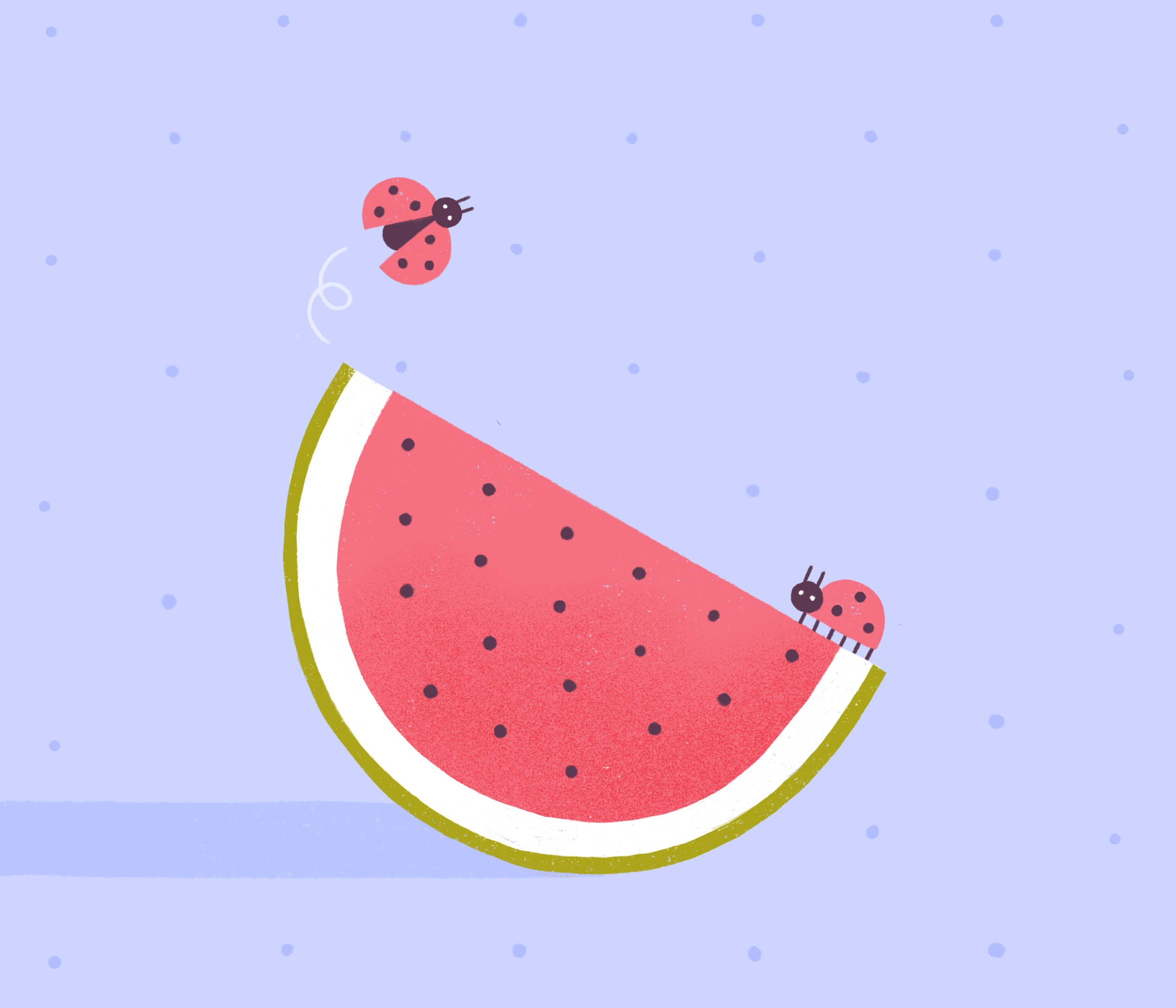 Seesaw fun illustration ladybug procreate summer swing texture watermelon