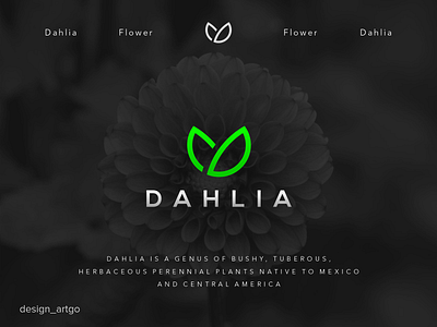 Dahlia branding d logo dahlia design flat flower illustration logo logos minimal monogram professional simple typography ui vector