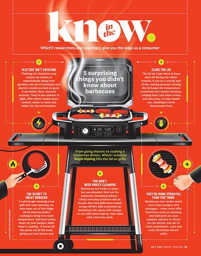 5 surprising things you didn't know about barbecues barbecue bbq illustration infographic meat
