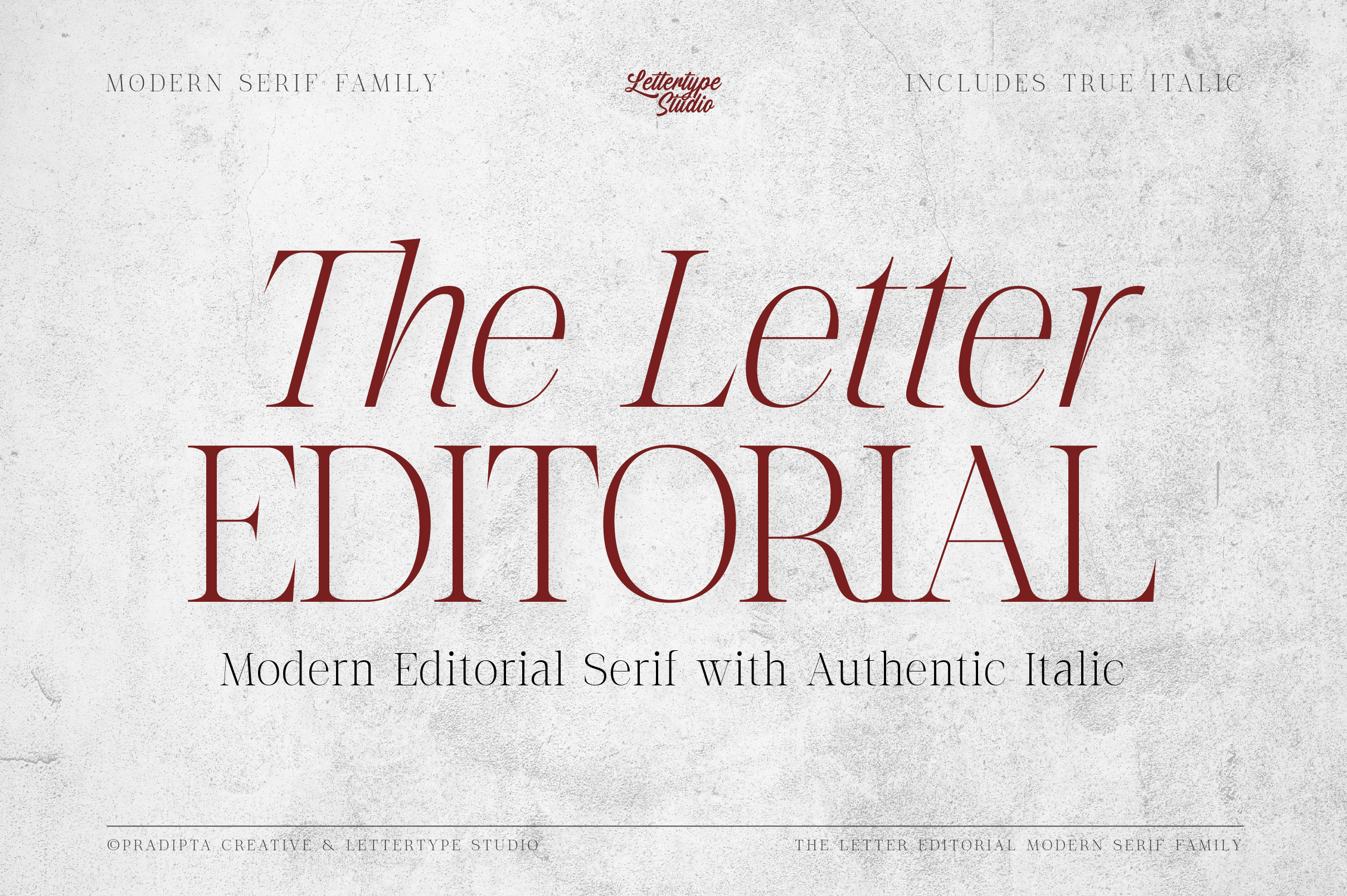 The Letter Editorial - Modern & Elegant Serif with True Italic classy design elegant flowing illustration logo modern stylish ui web