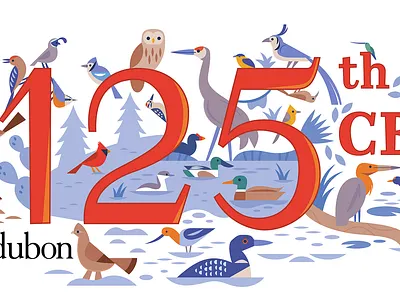 Audubon Bird Count animals audubon birding design illustration nature science vector wildlife