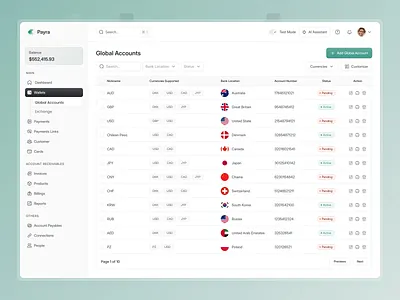 Payra - Global Account Dashboard UI analytics dashboard global account overview payment payment dashboard payment gateway