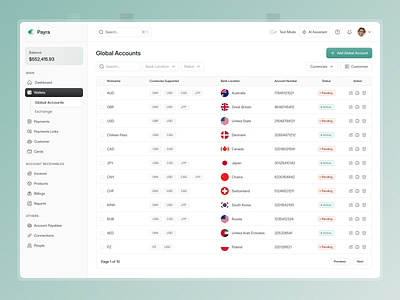 Payra - Global Account Dashboard UI analytics dashboard global account overview payment payment dashboard payment gateway