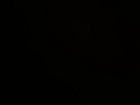 Example of Shot