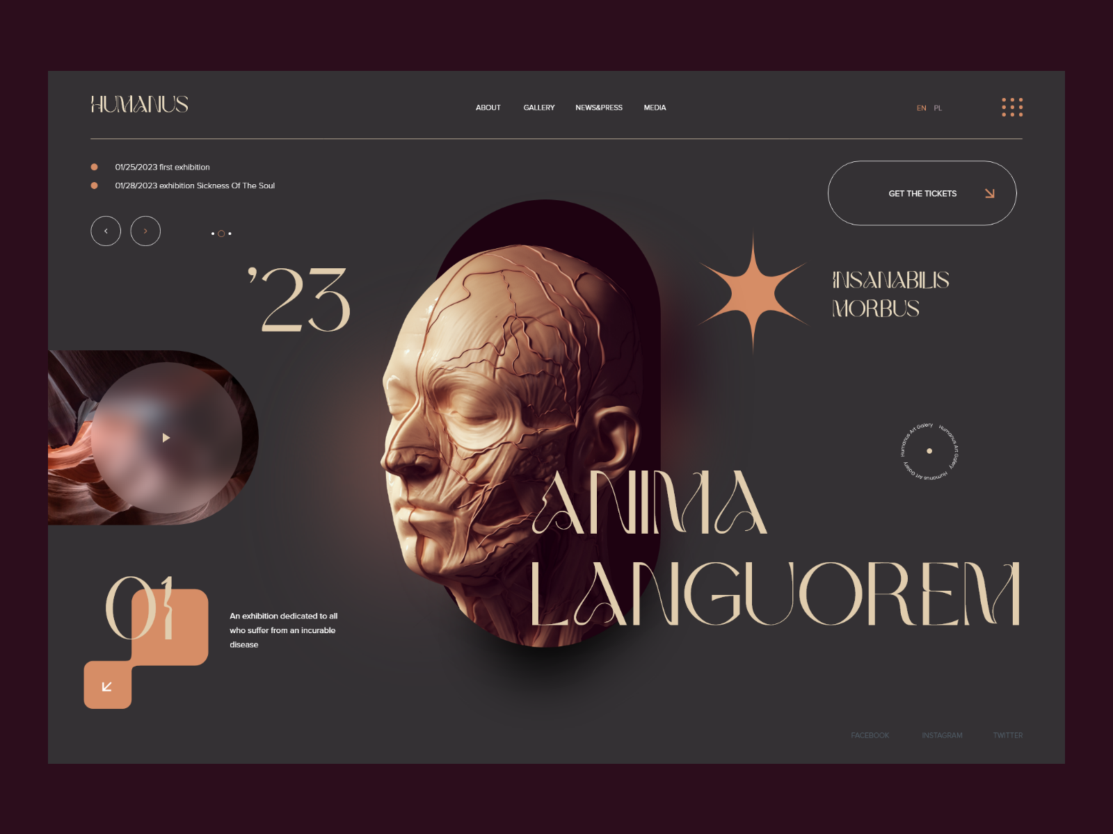 Anima Design Example