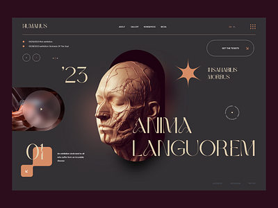 Anima Languorem Website art creative design experience gallery graphic interface landing page ui user interface ux web web design website