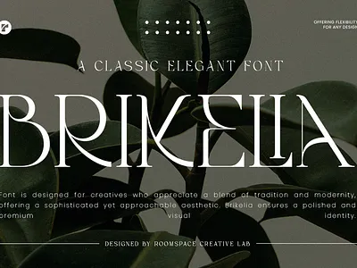 Brikelia - Minimalist Fashionable Font branding chic classy clean expensive fashionable floral font jewelry luxury minimalist modern serif sharp styling tropical