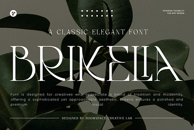 Brikelia - Minimalist Fashionable Font branding chic classy clean expensive fashionable floral font jewelry luxury minimalist modern serif sharp styling tropical