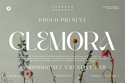 Clemora - Feminine Minimal Beauty beauty branding contrast display elegant fashion feminine film illustration ligature luxury magazine minimal modern quotes stylish typeface typography unique webfont