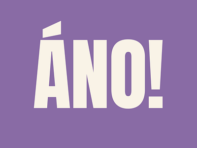 Bold typography bold colorful typography