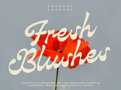 Fresh Blushes - Modern Script Font beauty branding creative design display fancy fashion font illustration life style luxury magazine modern packing product script swahses typography vintage