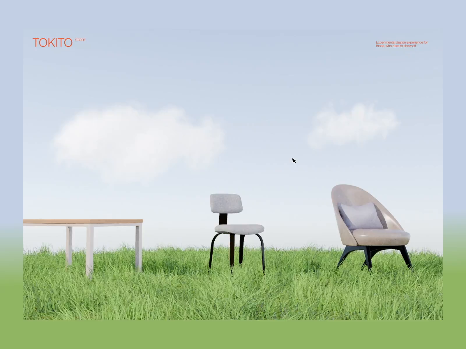 Example of E Commerce Website + Development