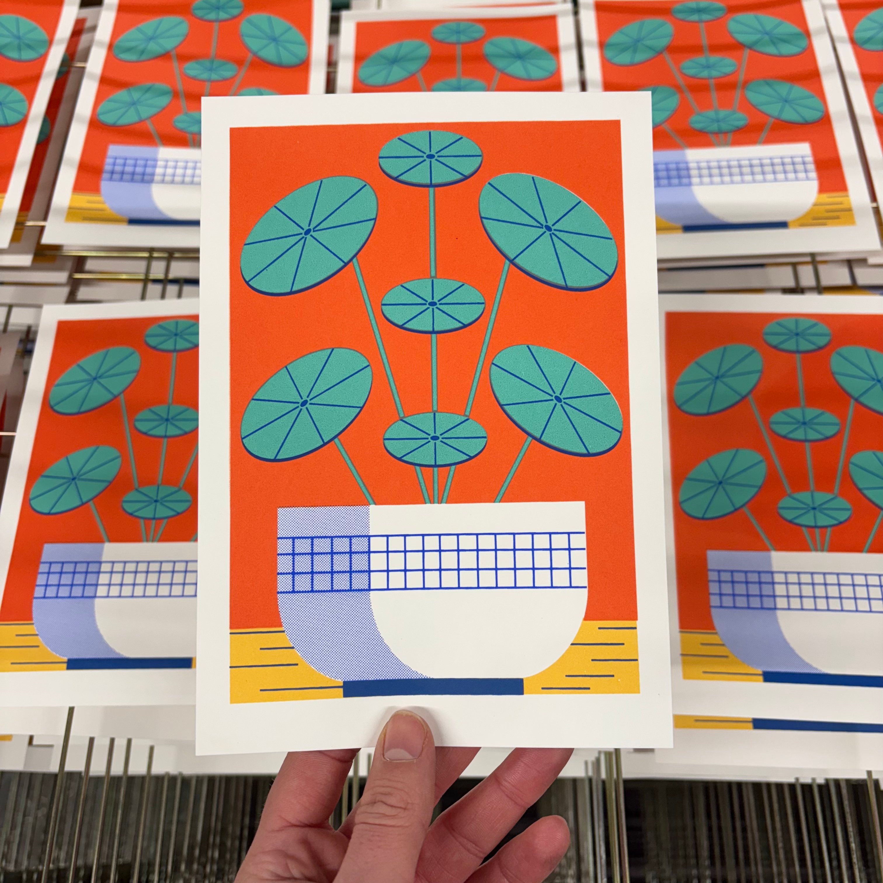 Pilea screen print colour design editorial illustration illustration plant print screen print screen printing