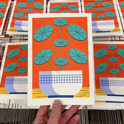 Pilea screen print colour design editorial illustration illustration plant print screen print screen printing