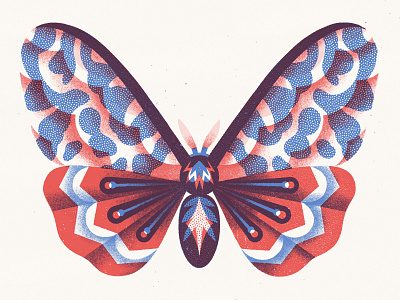 Lepidoptera 01 amsterdam butterfly drawing illustration insect illustration pattern printmaking procreate risograph texture