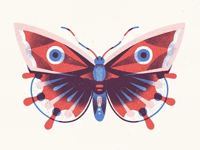 Lepidoptera 02 amsterdam butterfly drawing illustration insects lepidoptera linedrawing nature pattern procreate surface pattern texture