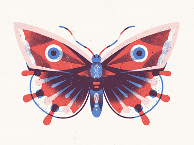 Lepidoptera 02 amsterdam butterfly drawing illustration insects lepidoptera linedrawing nature pattern procreate surface pattern texture