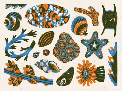 Day at the Beach V02 amsterdam animals beach drawing hiking illustration nature ocean pattern printmaking procreate sea life surface pattern design texture