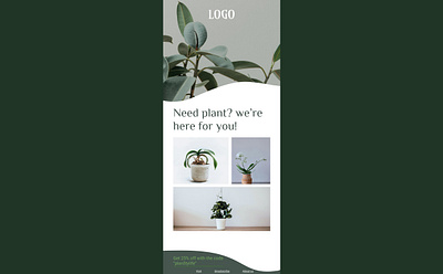 Email Design app branding cute design email email design figma graphic design green illustration logo plant sweet template typography ui ux vector