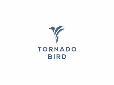 Tornado bird bird brand branding design logo logo design luxury minimal minimalist symbol tornado tornado bird wings