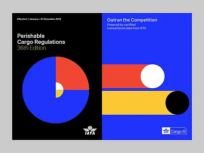 Visual Identity for Manuals abstract visuals branded documents branding design business communication composition consistent branding corporate identity corporate layout editorial graphics graphic symbolism institutional design manual cover professional style publication layout simple geometry technical documents typography visual guidelines