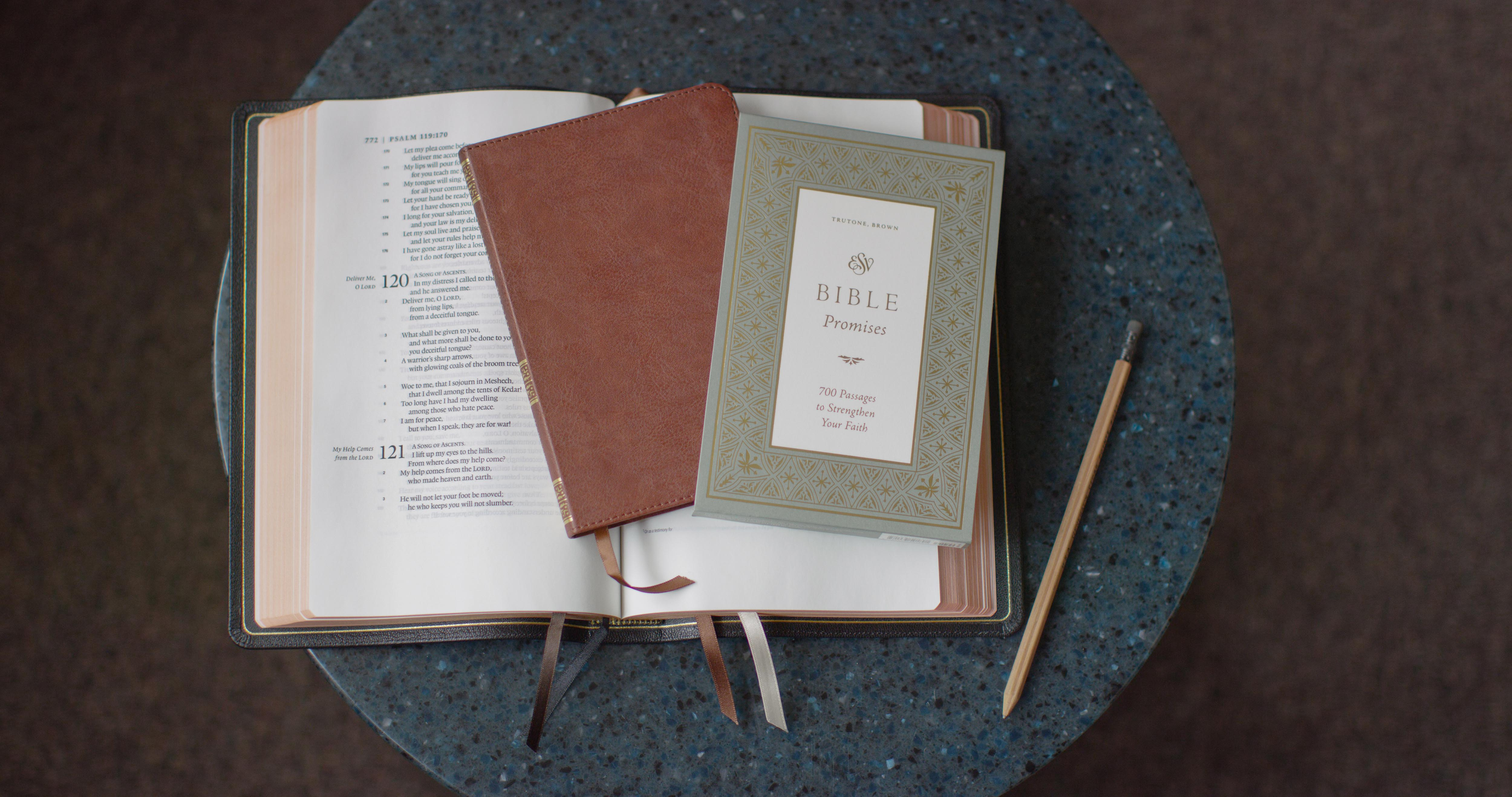 ESV Bible Promises bible book border christian church crossway design illustration ornate packaging seafoam