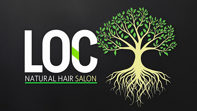 Logo Design for Hair studio illustration logo design for hair studio