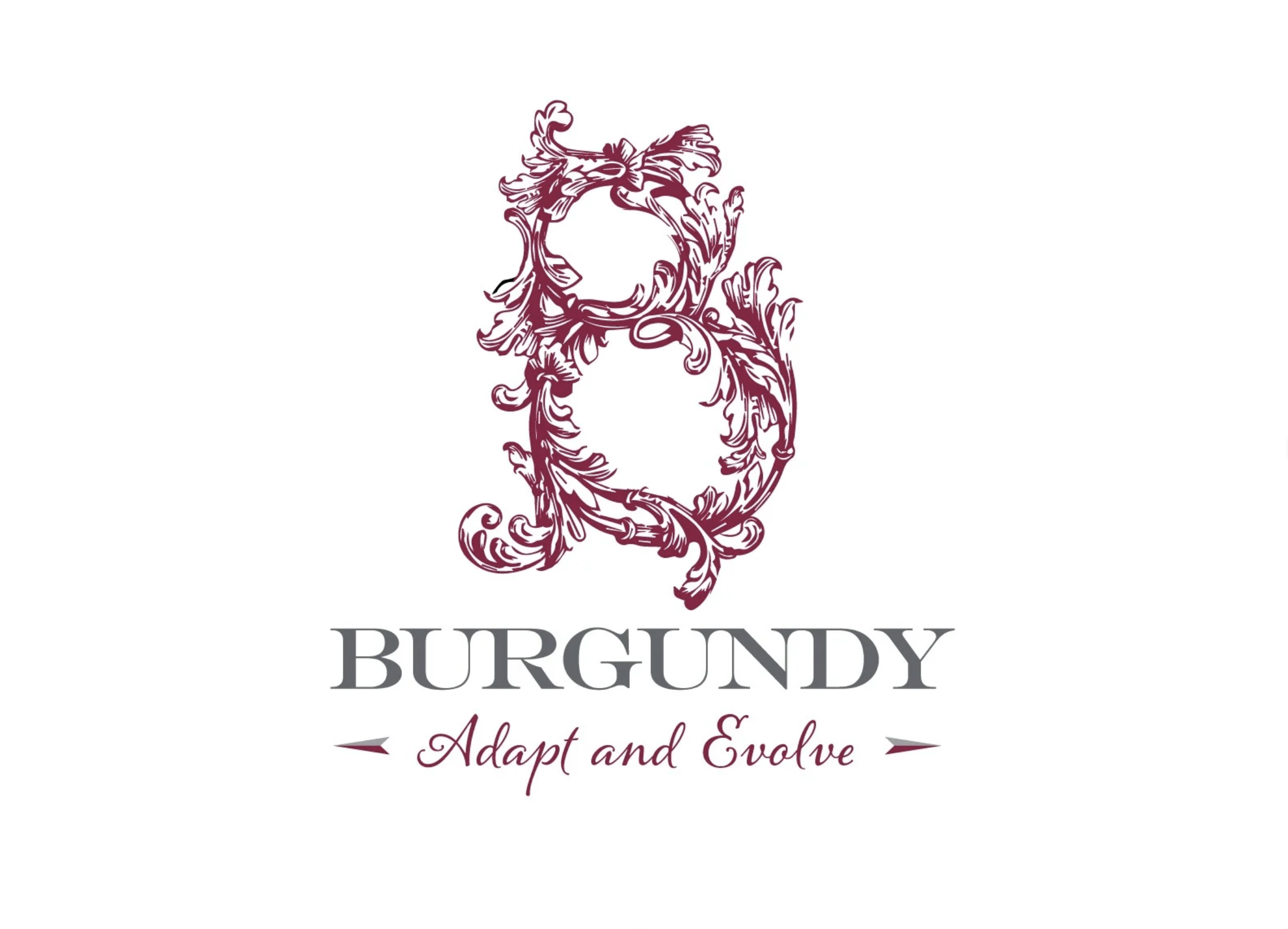 Burgundy - Logo design branding burgundy clothes clothing crown fashion gold graphic design identity design logo modern noble organic regal shield wings