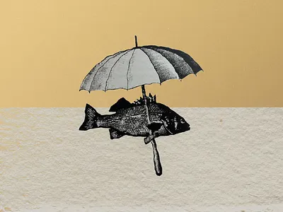 Galeano fish 2d animation animation design eduardo galeano illustration literature motion design motion graphics