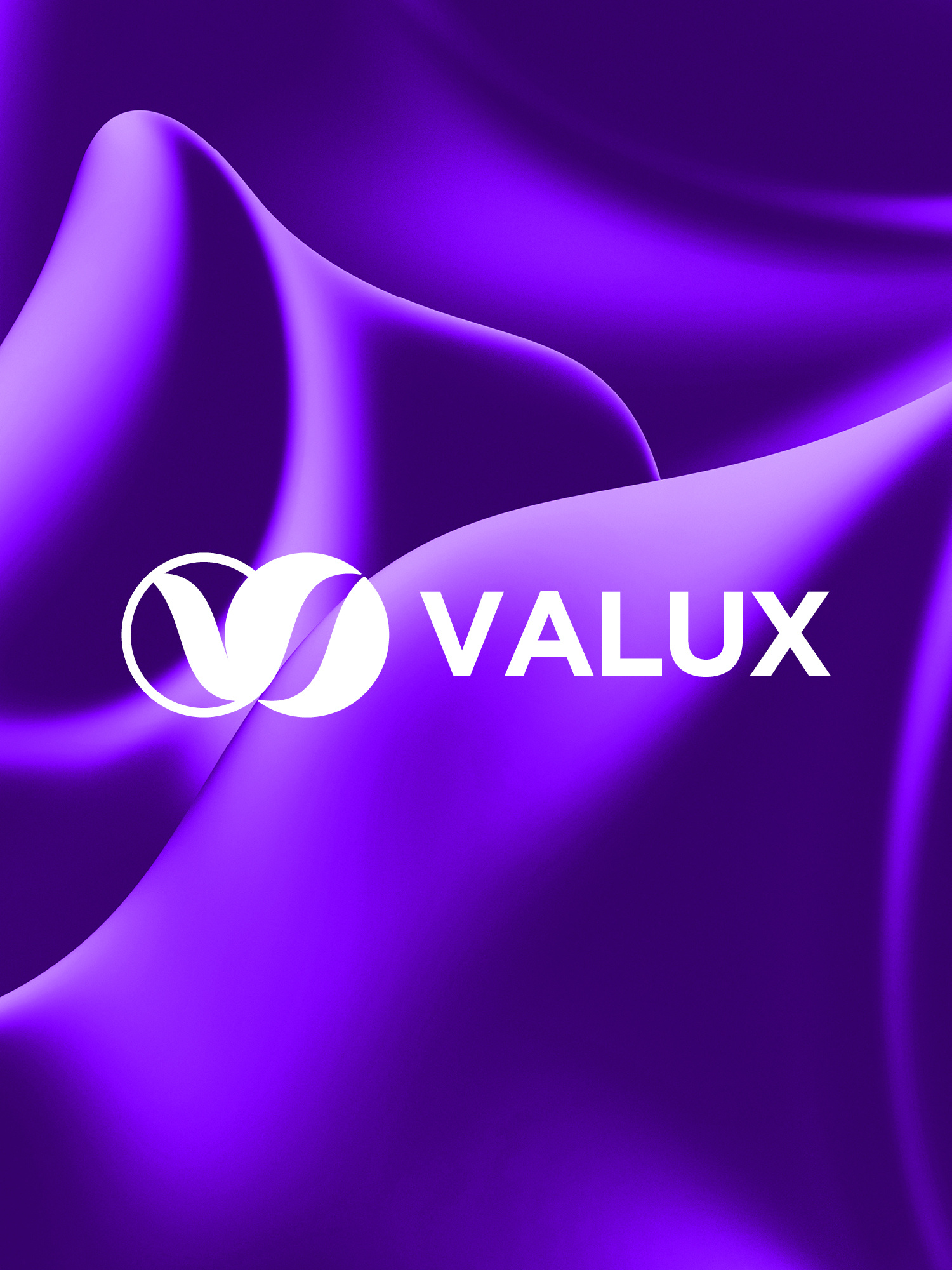 VALUX brand design branding logo logo design wordmark
