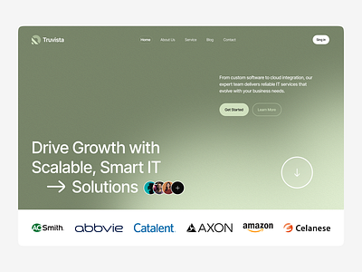 Truvista IT Hero Section – Scalable IT Solutions Website interface product service startups ui ux web