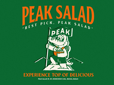 Logo Design for Peak Salad artwork brading character chracterlogo graphic design graphicdesign illustration logo logodesign logos salad slaladlogo