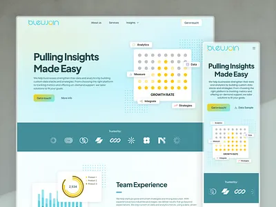 Bleujoin Homepage - Data & Analytics Consulting Company Website ff user interface