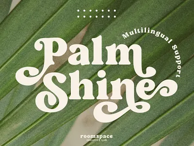 Palm Shine - Bold Swirl Serif bold branding contrast creative design display font illustration logo luxury magazine modern pster retro serif swash swirl typography unique wedding