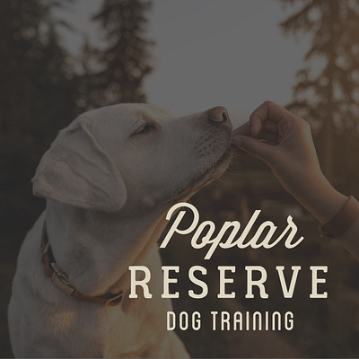 Poplar Reserve Dog Training