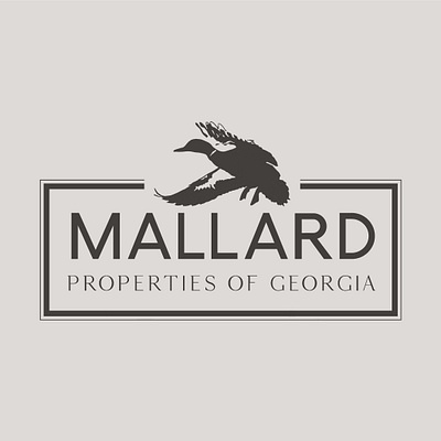 Mallard Properties of Georgia branding design graphic design logo