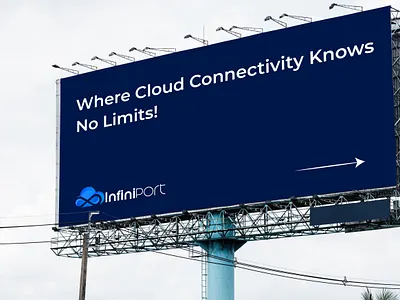 Branding Design - InfiniPort box design branding design graphic design illustration label design logo packaging design supplement label ui