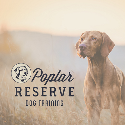 Poplar Reserve Dog Training pt.II