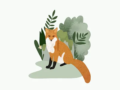 Fox Illustration fox green illustration nature wildlife