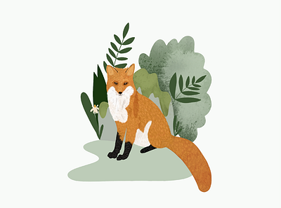 Fox Illustration fox green illustration nature wildlife